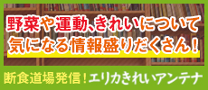 エリカきれいアンテナ