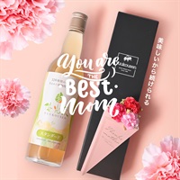 【母の日ギフト】優光泉ハーフボトル（550ml）