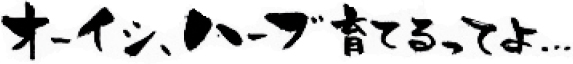 オーイシ、ハーブ育てるってよ・・・