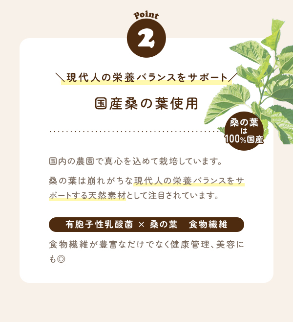 注目ポイント➁現代人の栄養バランスをサポート国産桑の葉使用。桑の葉は、100％国産。国内の農園で真心を込めて栽培しています。桑の葉は崩れがちな現代人の栄養バランスをサポートする天然素材として注目されています。