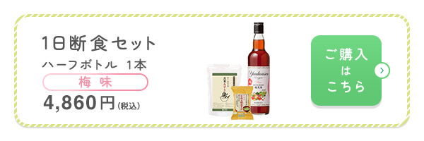 1日断食セット梅味1本