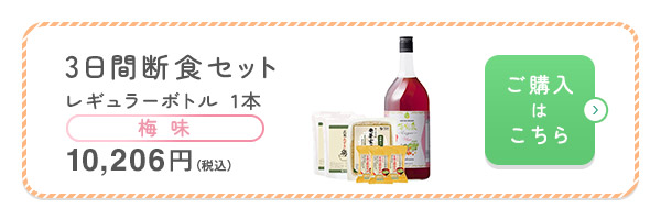 3日間断食セット梅味1本