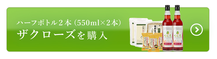 ザクローズ2本