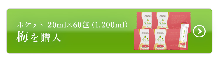 ポケット梅60包