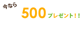会員登録で500ポイントプレゼント！