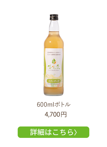 600mlボトル1本