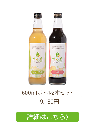 600mlボトル2本