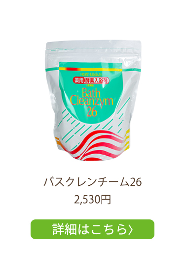 バスクレンチーム26
