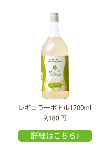 レギュラー