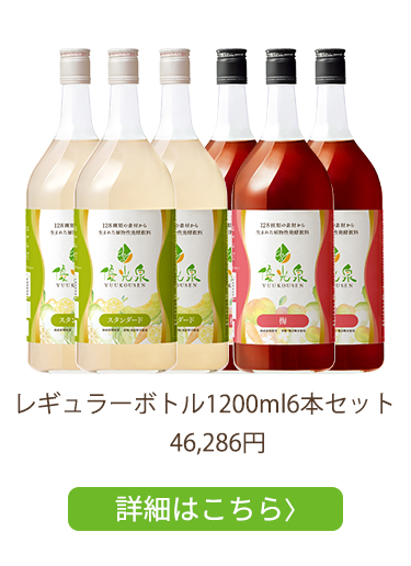 レギュラー6本