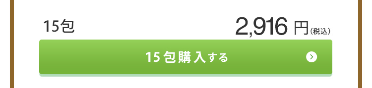 お試しページ 2