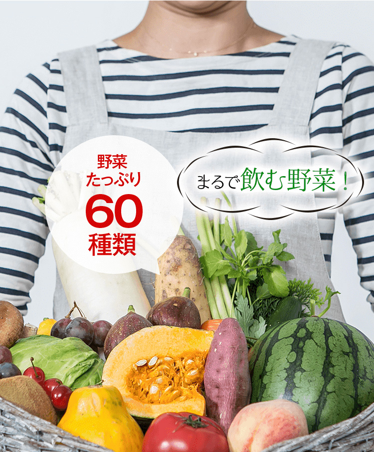 野菜たっぷり60種類 まるで飲む野菜!